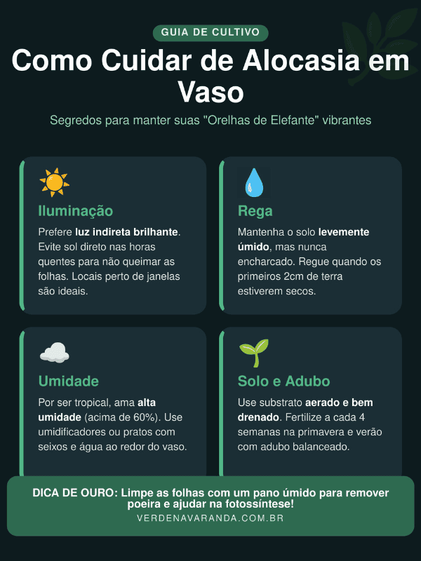 Como cuidar de Alocasia em vaso