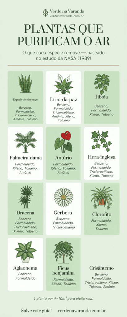 Infográfico com as 12 plantas que purificam o ar e os poluentes que cada espécie remove, baseado no estudo da NASA