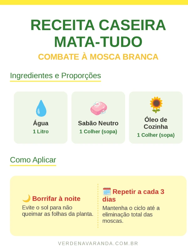 Infográfico com receita caseira de como acabar com mosca branca nas plantas de forma segura e barata.