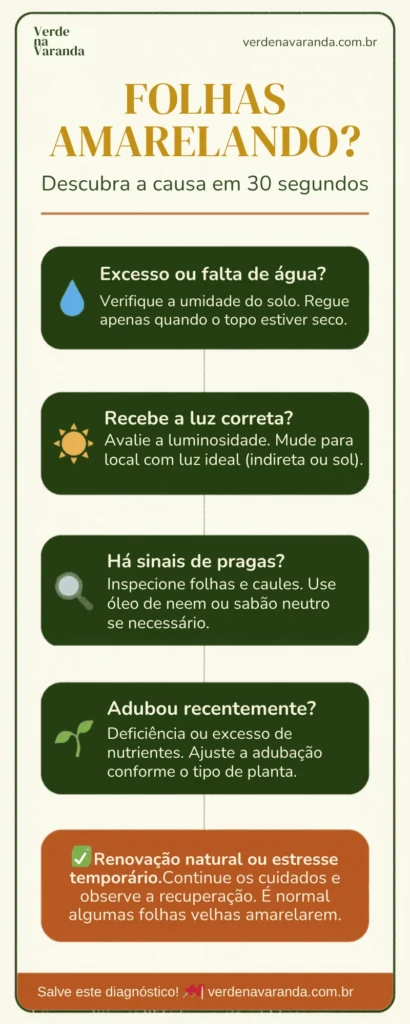 Infográfico com fluxograma de diagnóstico para identificar por que as folhas estão amarelando na planta