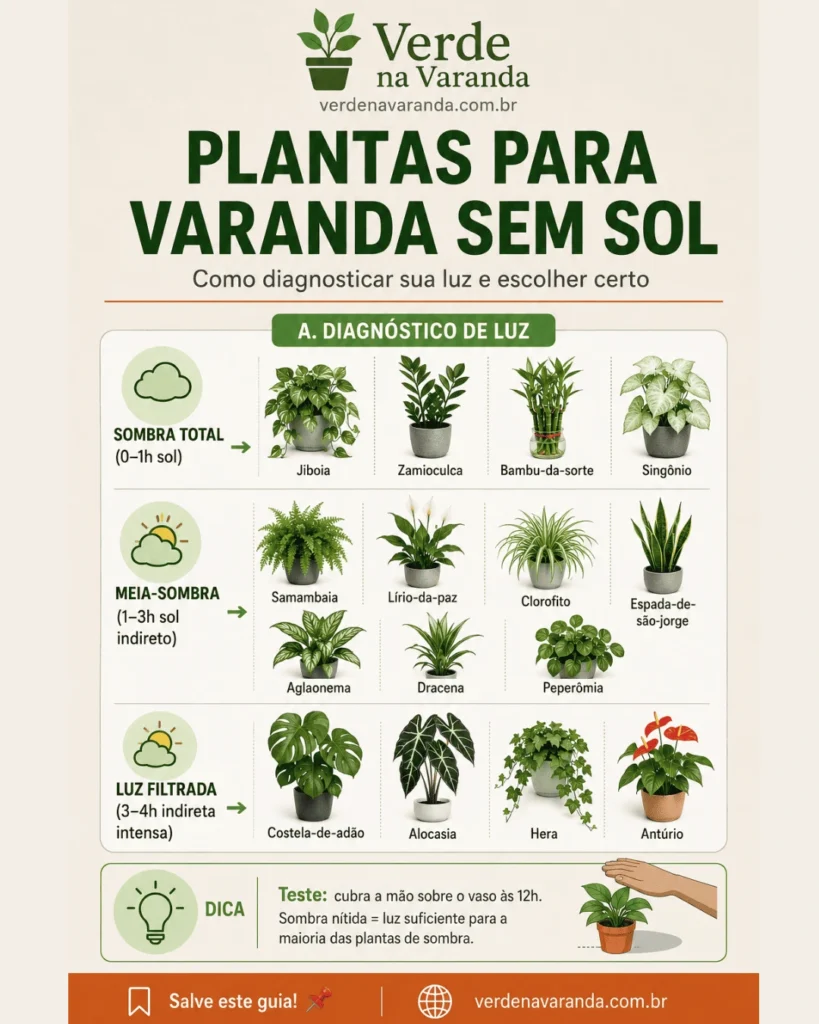 Infográfico com diagnóstico de luz e as melhores plantas para
varanda sem sol organizadas por nível de luminosidade disponível