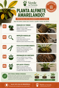 Planta Alfinete Amarelando Descubra a Causa e Como Salvar